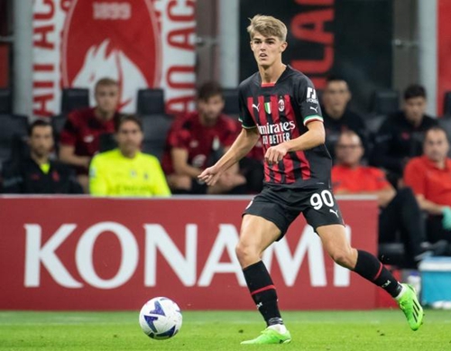 的整体表现 的整体表现