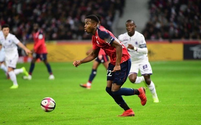 野并搭配功 野并搭配功